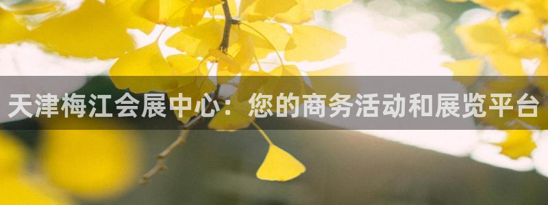 果博账号注册：天津梅江会展中心：您的商务活动和展览平台