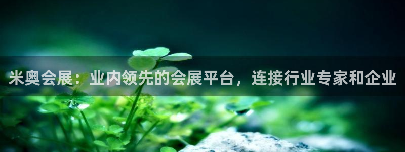果博代理电话多少：米奥会展：业内领先的会展平台，连接行业专家和企业