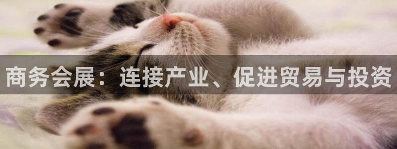 果博代理网：商务会展：连接产业、促进贸易与投资