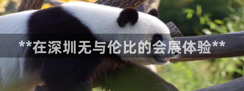 果博网站二维码：**在深圳无与伦比的会展体验**
