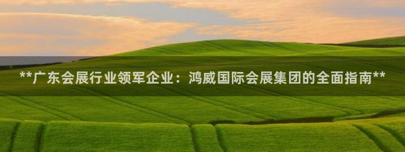 果博注册平台怎么注册：**广东会展行业领军企业：鸿威国际会展集团的全面指南**