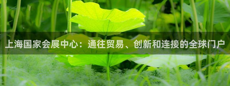 果博平台开户电话是多少：上海国家会展中心：通往贸易、创新和连接的全球门户
