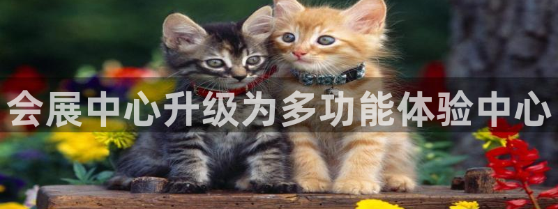 果博公司网站：会展中心升级为多功能体验中心