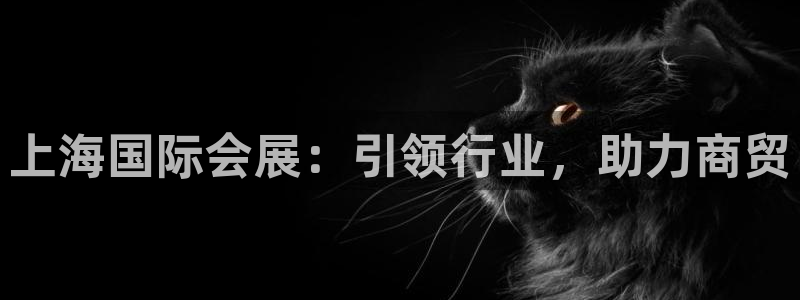 果博注册客服电话是多少啊：上海国际会展：引领行业，助力商贸