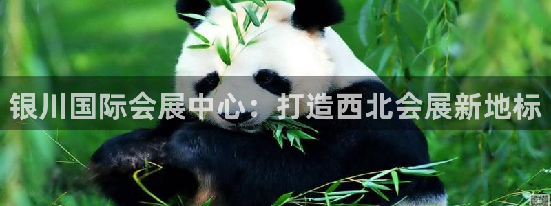 果博注册平台怎么注册不了：银川国际会展中心：打造西北会展新地标
