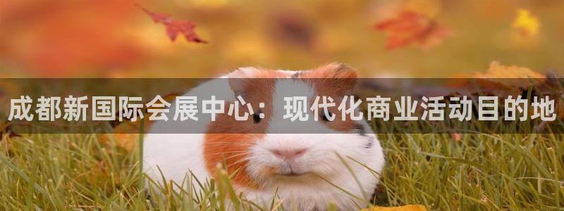 果博环保官网：成都新国际会展中心：现代化商业活动目的地