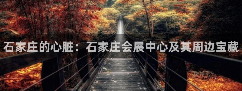 果博公司客服微信怎么加：石家庄的心脏：石家庄会展中心及其周边宝藏
