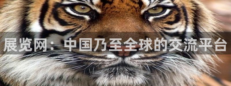 果博公司客服怎么样：展览网：中国乃至全球的交流平台