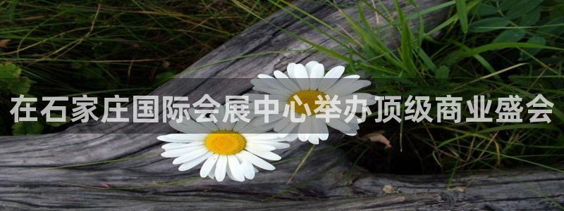 果博东官方网站怎么下载：在石家庄国际会展中心举办顶级商业盛会