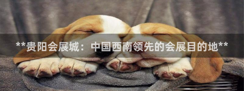 果博注册会员怎么注销：**贵阳会展城：中
