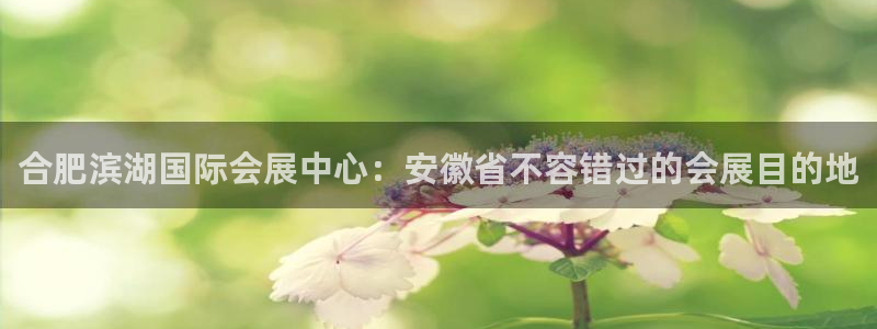 果博真人：合肥滨湖国际会展中心：安徽省不容错过的会展目的地
