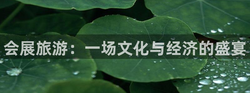 下载果博博东方：会展旅游：一场文化与经济的盛宴