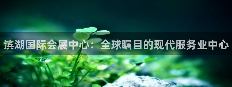 果博手机下载网址：滨湖国际会展中心：全球瞩目的现代服务业中心