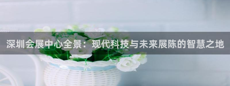 果博注册充值多少钱：深圳会展中心全景：现代科技与未来展陈的智慧之地