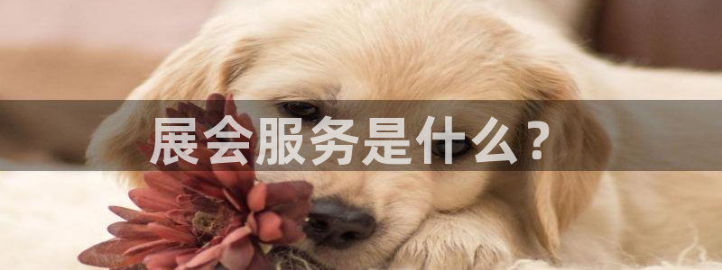 果博东官方网站怎么下载：展会服务是什么？