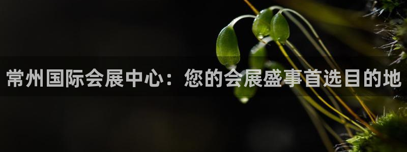 果博客服电话