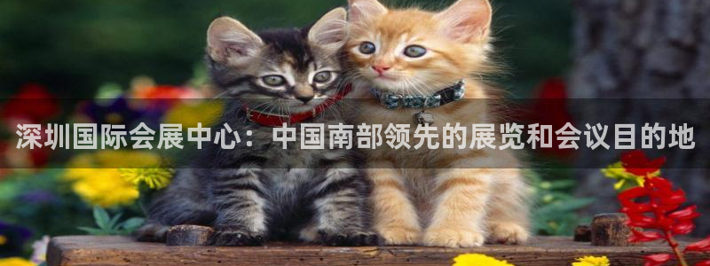 果博园简介：深圳国际会展中心：中国南部领