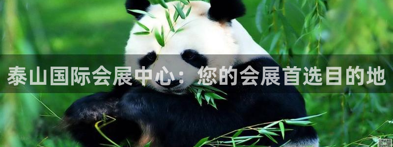 果博平台开户电话查询：泰山国际会展中心：您的会展首选目的地