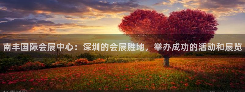 果博官网客服电话号码是多少：南丰国际会展中心：深圳的会展胜地，举办成功的活动和展览