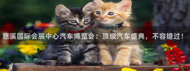 果博注册会员维wckk389：慈溪国际会展中心汽车博览会：顶级汽车盛典，不容错过！