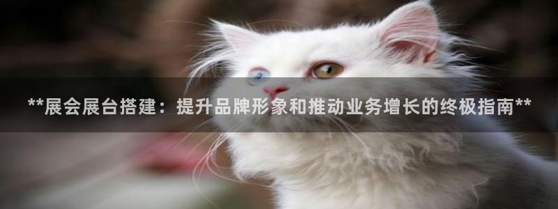 果博手机版官方下载：**展会展台搭建：提升品牌形象和推动业务增长的终极指南**