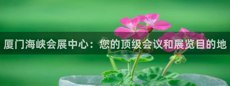 下载果博app：厦门海峡会展中心：您的顶级会议和展览目的地