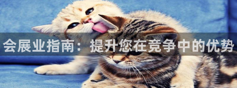 果博网站二维码：会展业指南：提升您在竞争中的优势