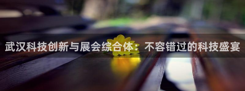苹果电脑怎么下载博弈大师等软件：武汉科技创新与展会综合体：不容错过的科技盛宴