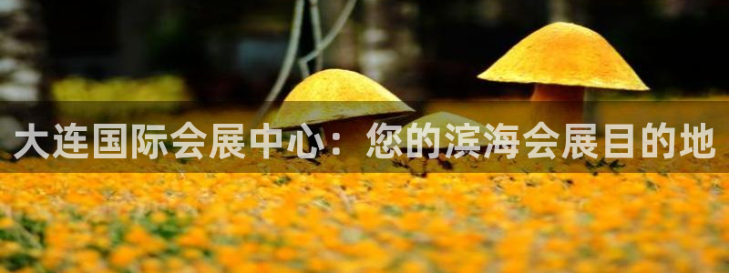 果博平台开户电话号码