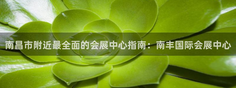 果博东官方网站怎么下载：南昌市附近最全面