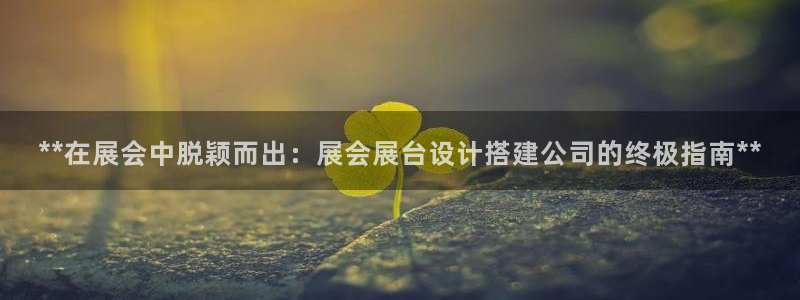 果博真人：**在展会中脱颖而出：展会展台