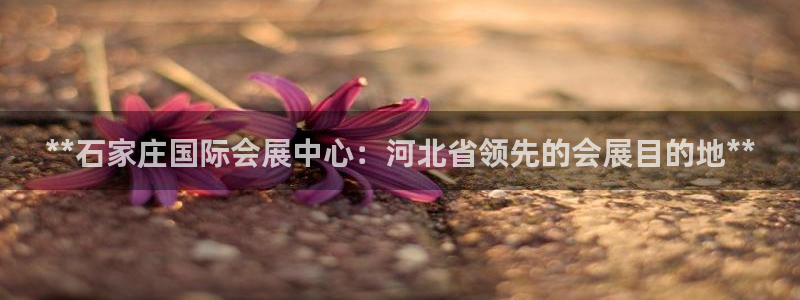 果博注册充值怎么充：**石家庄国际会展中心：河北省领先的会展目的地**