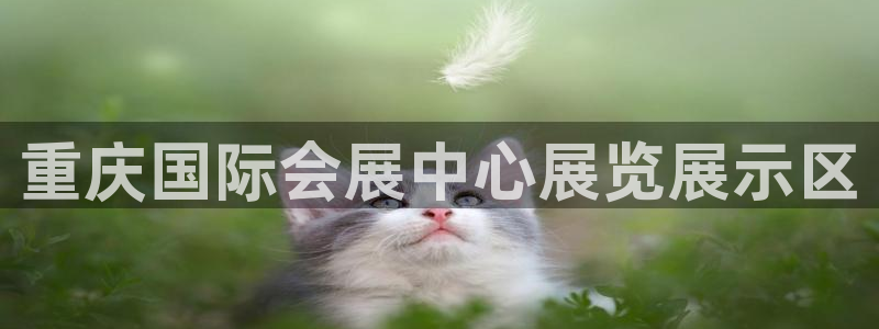 果博园简介：重庆国际会展中心展览展示区