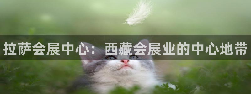 果博公司会员注册账号：拉萨会展中心：西藏会展业的中心地带