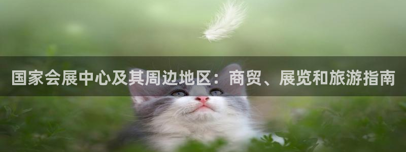 电脑怎么下载果考网：国家会展中心及其周边