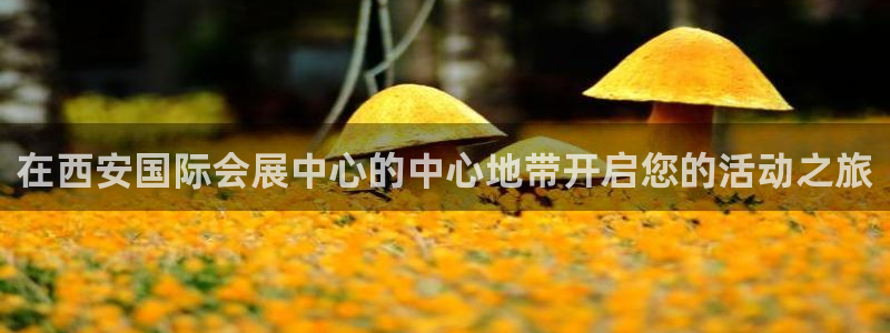 果博公司电话：在西安国际会展中心的中心地
