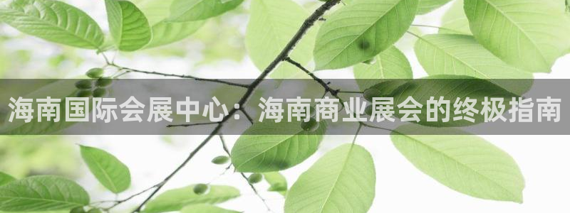 果博官网客服电话号码：海南国际会展中心：海南商业展会的终极指南