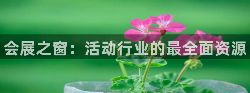 果博手机版官方下载：会展之窗：活动行业的最全面资源