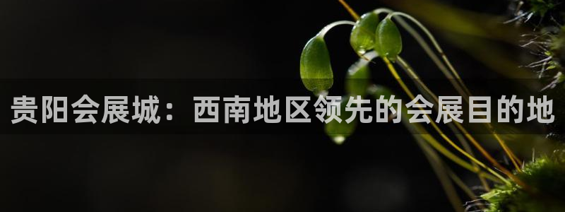 果博注册平台怎么注册：贵阳会展城：西南地区领先的会展目的地