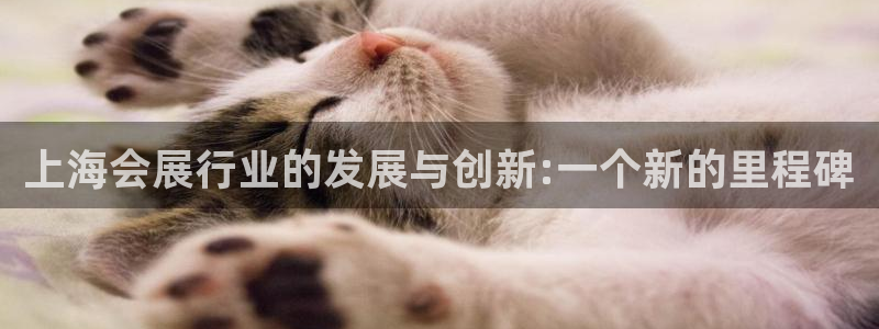 果博环保官网：上海会展行业的发展与创新: