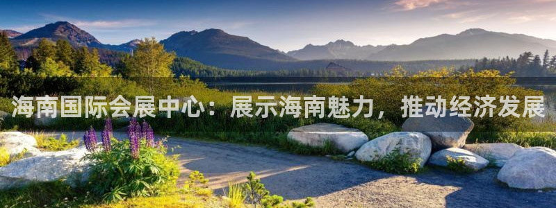 果博总台电话