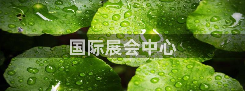 果博客服电话：国际展会中心