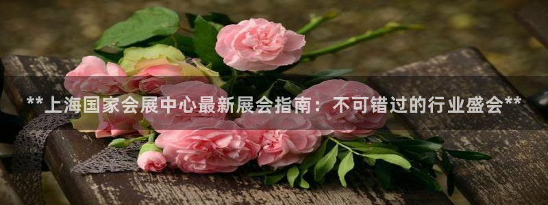 果博真人：**上海国家会展中心最新展会指南：不可错过的行业盛会**