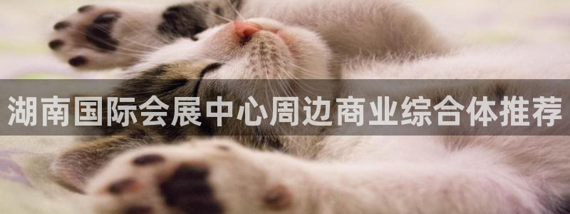 果博手机下载网址：湖南国际会展中心周边商业综合体推荐