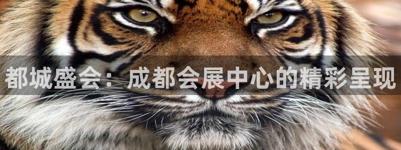 果博官网：都城盛会：成都会展中心的精彩呈现