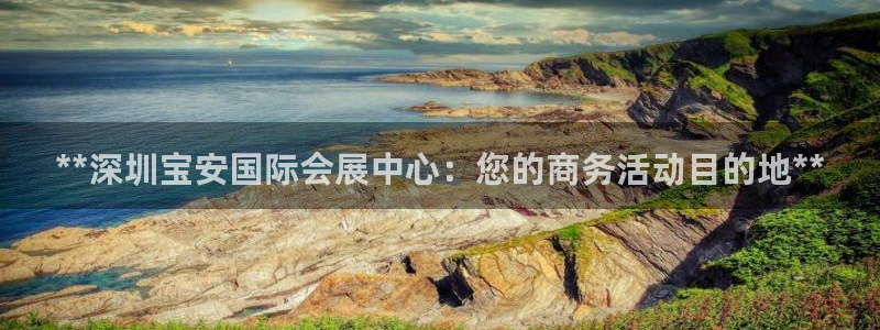 果博平台真实吗安全吗可信吗是真的吗：**深圳宝安国际会展中心：您的商务活动目的地**