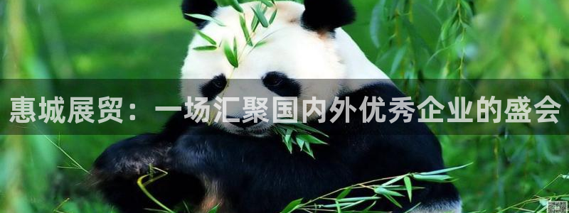 果博公司客服微信怎么加
