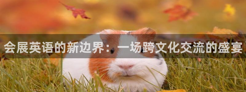 果博注册充值怎么退款：会展英语的新边界：一场跨文化交流的盛宴