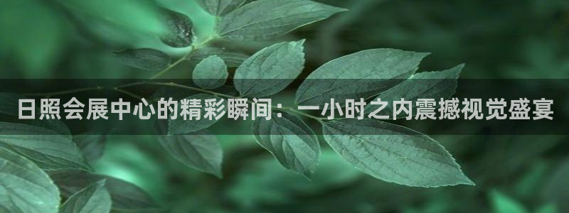 果博注册客服电话是多少号码：日照会展中心的精彩瞬间：一小时之内震撼视觉盛宴