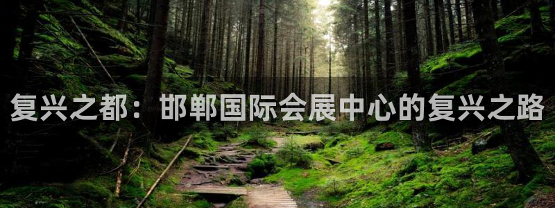 果博注册客服电话是多少啊：复兴之都：邯郸国际会展中心的复兴之路